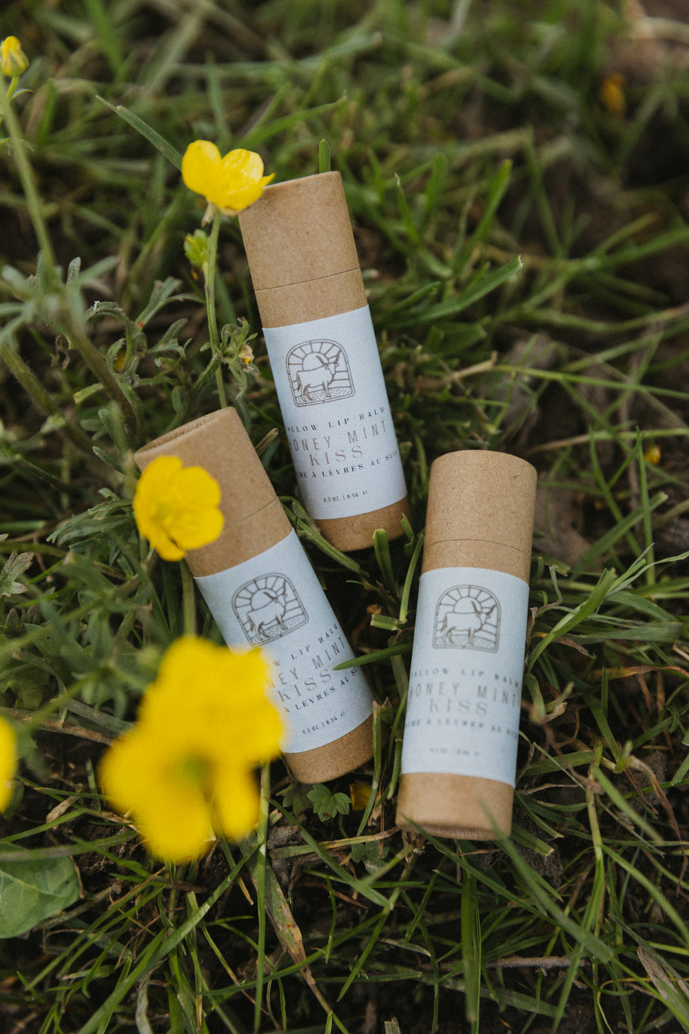 Honey Mint Kiss Tallow Lip Balm